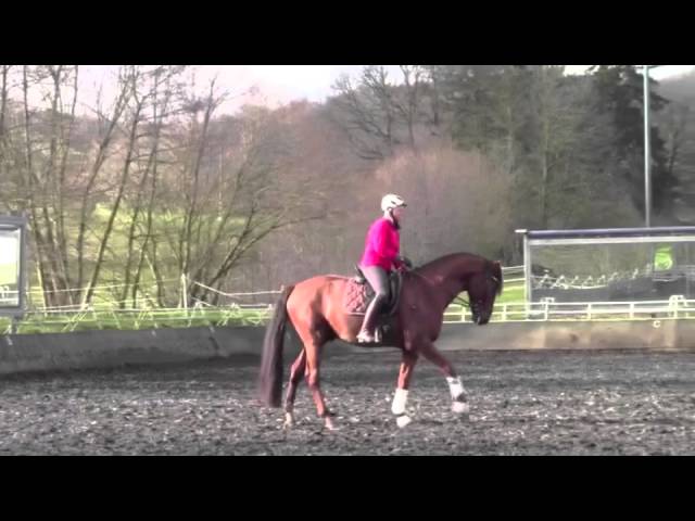 Mein Pferd April 2014: Titelgeschichte “Timing der Hilfen” - YouTube thumbnail 
