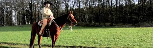 Mein Pferd Februar 2015 - YouTube thumbnail 