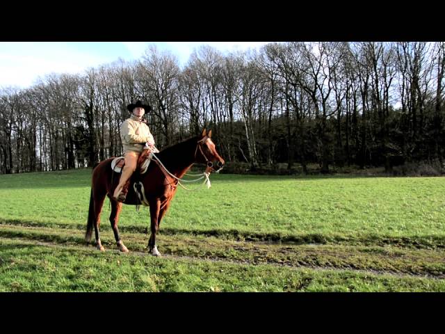 Mein Pferd Februar 2015 - YouTube thumbnail 