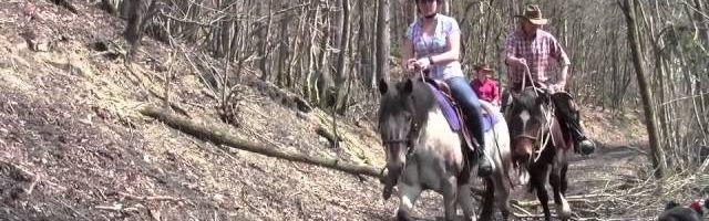 Mein Pferd Juni 2013: Kletterritt - YouTube thumbnail 