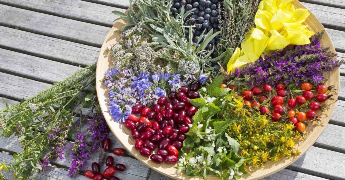 Superfoods Superfoods und Kräuter Teller mit Spaetsommerblueten und Fruechten, Deutschland platter with late summer flowers and fruits , Germany BLWS374037 Plate with and Fruit Germany Platter With Late Summer Flowers and Fruits Germany