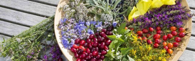 Superfoods Superfoods und Kräuter Teller mit Spaetsommerblueten und Fruechten, Deutschland platter with late summer flowers and fruits , Germany BLWS374037

Plate with  and Fruit Germany Platter With Late Summer Flowers and Fruits Germany