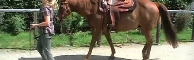 Wunschpferd Quarter Horse 2010 - YouTube thumbnail 