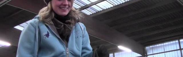 Wunschpferd Reining - YouTube thumbnail 