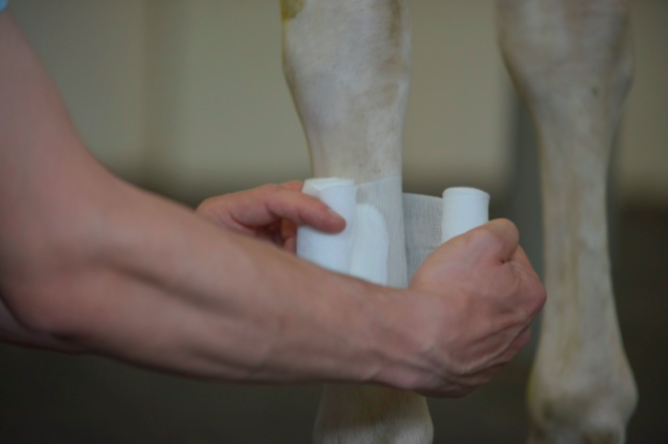 Verband anlegen 
