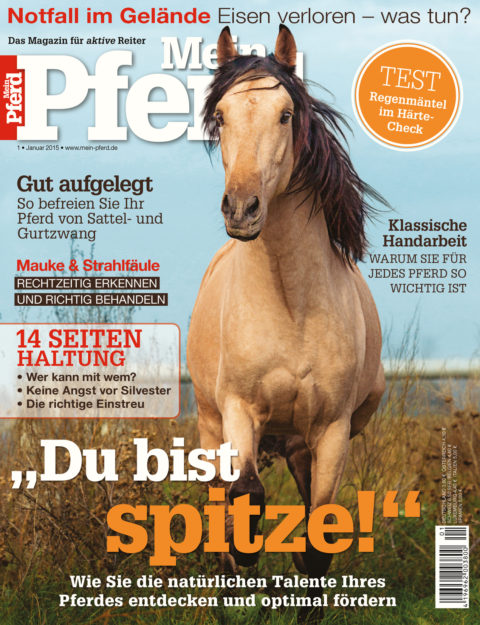 01_2015_mein_pferd 
