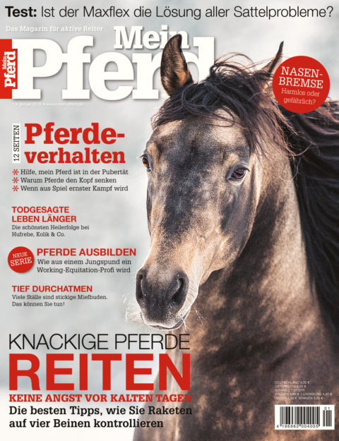 01_2016_mein_pferd 