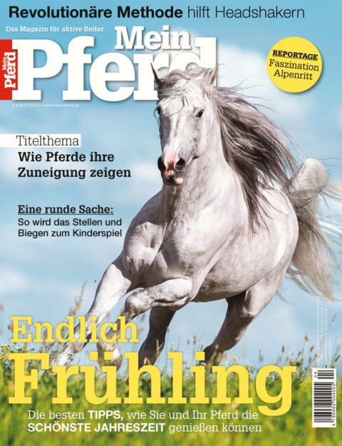 04_2015_mein_pferd 