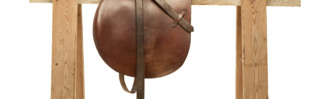 ea_gettyimages-154948762 English Saddle 