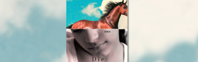 teaser_meinpferd_buch_diestute 