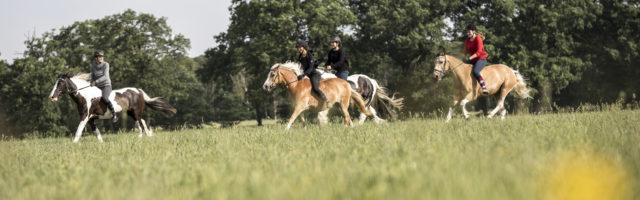 Sattelloses Reiten Sattelloses Reiten in Bad Lear für das Mein Pferd Magazin am 06.06.2017 . Foto: DANIEL ELKE 