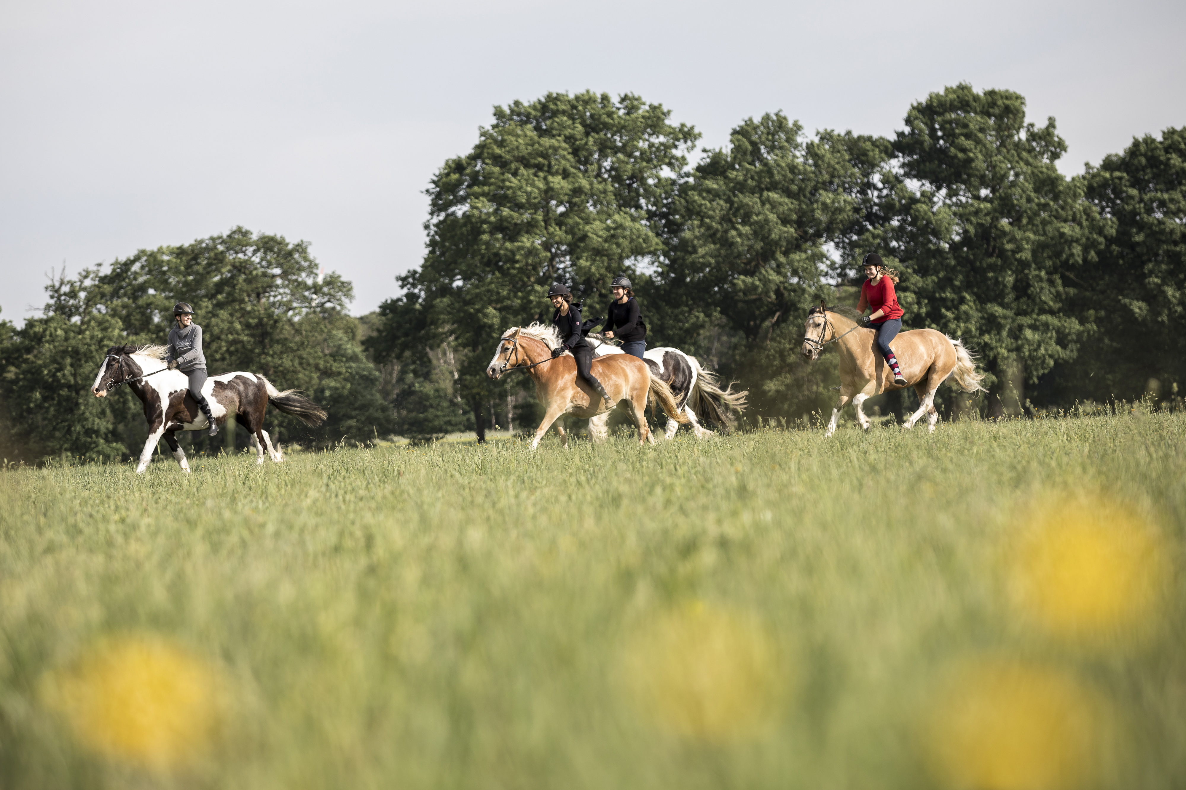 Pferd nackt reiten Nackt reiten