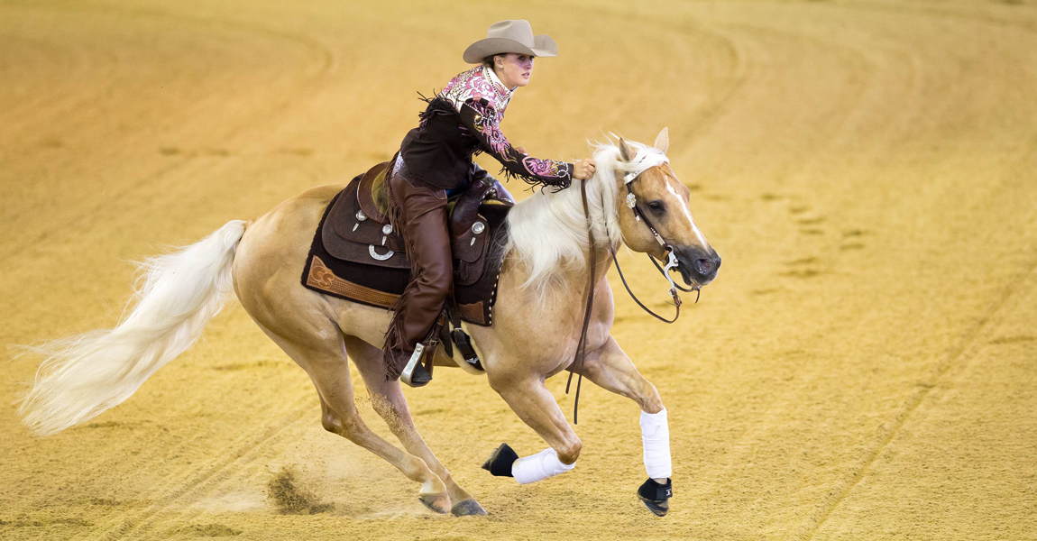 Aachen 14 08 2015 FEI Europameisterschaften Aachen 2015 Pferdesport Reining Gina Schumacher GE Aachen, 14.08.2015, FEI Europameisterschaften Aachen 2015. Pferdesport, Reining. Gina Schumacher (GER), Tochter vom ehemaligen Formel 1 Piloten Michael Schumcher, mit Sharp Dressed Shiner. PUBLICATIONxNOTxINxSUIxAUTxLIExITAxFRAxNEDxUSA Aachen 14 08 2015 Fei European Championships Aachen 2015 Equestrian sports Reining Gina Schumacher ger Daughter of former Formula 1 Pilots Michael with Sharp Dressed Shiner PUBLICATIONxNOTxINxSUIxAUTxLIExITAxFRAxNEDxUSA 