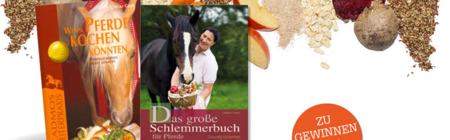 fu%cc%88r-facebook-gewinne-101722 