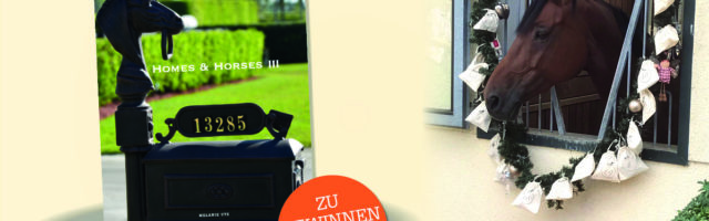fu%cc%88r-facebook-gewinne-10172 