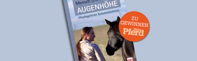fu%cc%88r-facebook-gewinne-101725 
