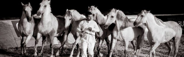 vincent-liberator-2 