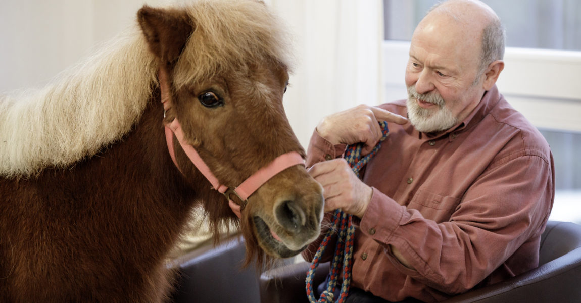 Mein Pferd Magazin - Demenz Therapie mit Pferd Der Altenpfleger Gregor Kryk besucht am 08.11.2017 mit seinen Tieren die Bewohner eines Altenheims in Düren. Foto: DANIEL ELKE 