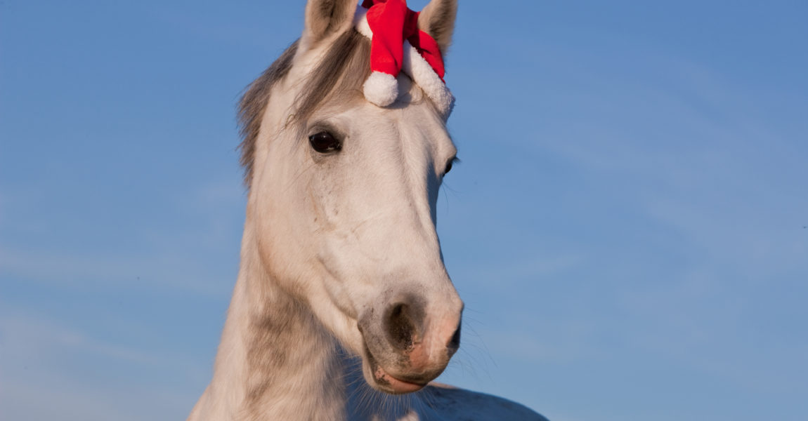 Pin auf christmas