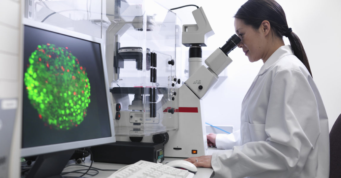 Scientist conducting stem cell research on a confocal microscope in biolab 