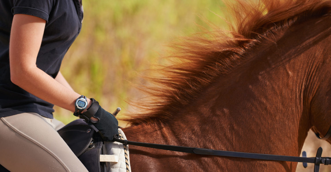 Ride like the wind! A cropped image of a woman rider on a chestnut horse 