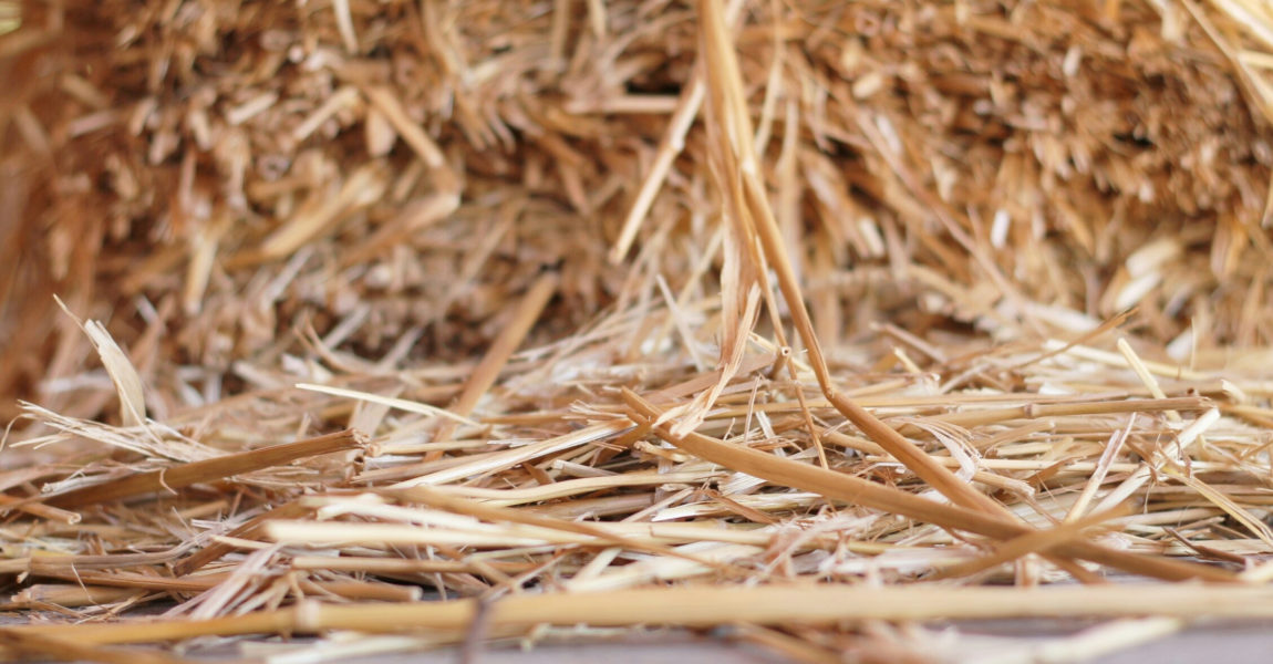 Detail Shot Of Hay 