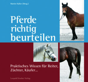 haller-pferde-beurteilen