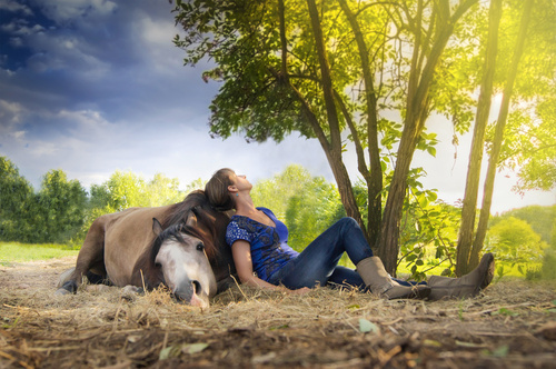 woman resting ,horse lying, outdoors under tree in sunset 