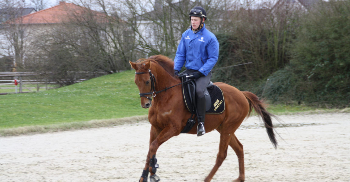 Angreifer mit seinem Reiter Tobias Brenner beim Training in der Reitanlage Sieben Morgen 