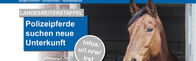 einsatz-startseite-liegenschaft-landesreiterstaffel-180206 