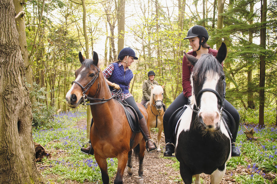 Horseback riders talking in forest Horseback riders talking in forest 