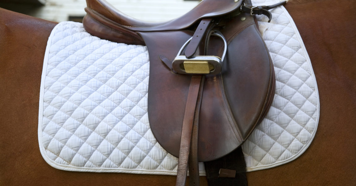 Saddle on horse, close-up New Jersey, USA 