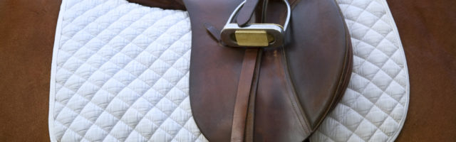 Saddle on horse, close-up New Jersey, USA 