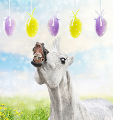 White horse runs to hanging Easter eggs on spring background 