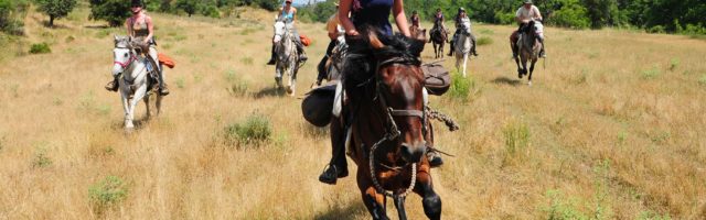 05 Süss-&Salzwasser Trail 300dpi 