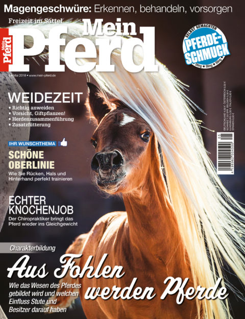 05_2018_mein_pferd 