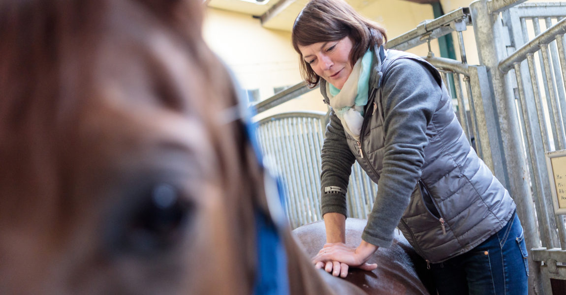 Pferde Chiropraktikerin Simone Kaiser Die Chiropraktikerin Simone Kaiser, behandelt am 06.03.2018 ein Pferd auf dem Gut Waldau in Rheinbach. Fotografiert für das Mein Pferd Magazin. Foto: DANIEL ELKE 