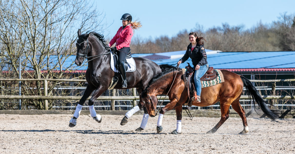 Mein Pferd Magazin - Reitweisen Western und Englisch Reportage für das Mein Pferd Magazin zum Vergleich der verschiedenen Reitweisen - Western und Englisch - am 06.04.2018 in Nachtrodt-Wiblingwerde. Foto: DANIEL ELKE 