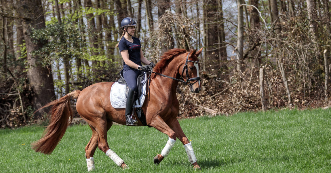 Mein Pferd Magazin - Serie Berufe - Bereiterin Die Bereiterin Verena am 16.04.2018 in Gevelsberg bei der Arbeit. Für das Mein Pferd Magazin. Foto: DANIEL ELKE 