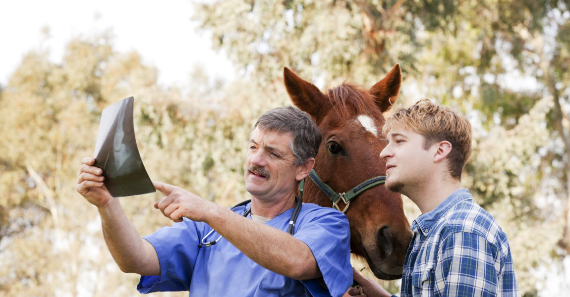 Vet discussing X-ray with horse owner 