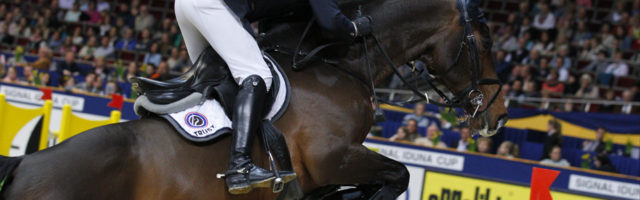 SIGNAL IDUNA CUP 2014 HASSMANN, Toni with PKZ Contact van de Heffinck ,(GER) Dortmund, Westfalenhallen, 09.03.14, SIGNAL IDUNA CUP 2014 - GP der Bundesrepublik # Foto:Sport Moments/Voß # | Verwendung weltweit 