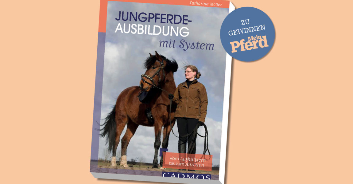Buch 