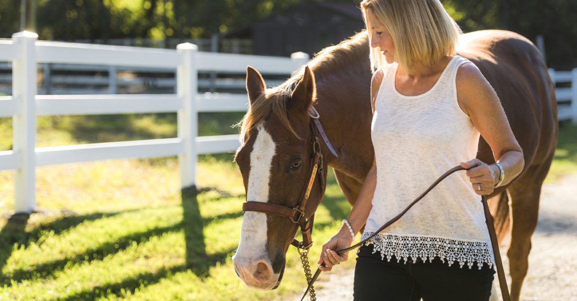 A woman an her horse in a sunny paddock Woman With Her Horse In Field 