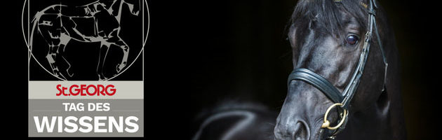 beitragsbild-eventbrite_2 