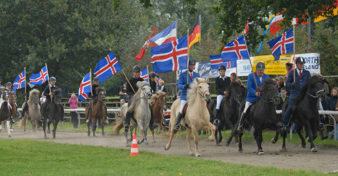 AufmarschFahnen 