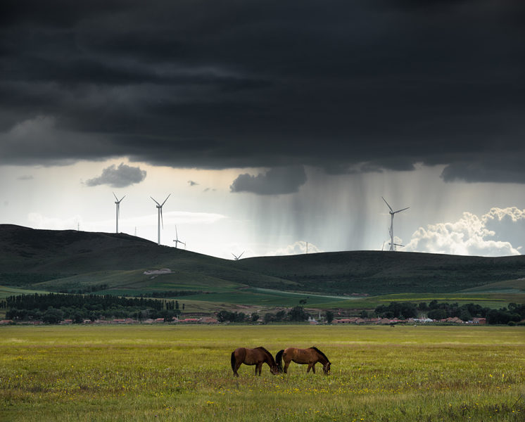 horses with storm in background 