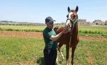 WTG-Syrien-Piper-Futter_c_Il Gattaro d'Aleppo 