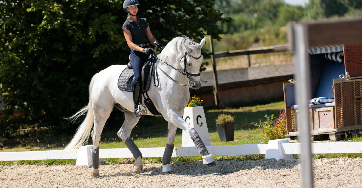 Mein Pferd Magazin - Maike Mende Homestory mit Maike Mende am 13.07.2018 in Altenberge für das Mein Pferd Magazin. Foto: DANIEL ELKE 