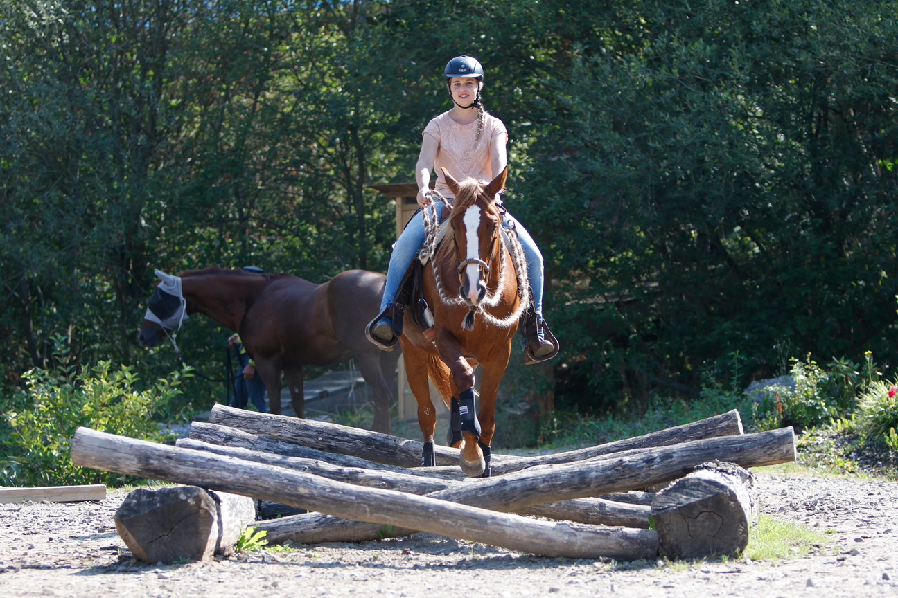 Extreme Trail Pferd Niedersachsen