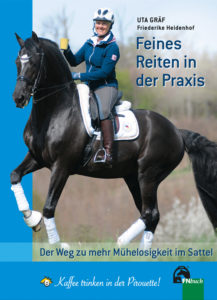 Galopp – Schwungvoll durchgesprungen - Mein Pferd – Mein Freund